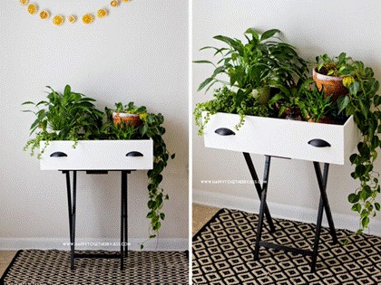 Storage for Plants