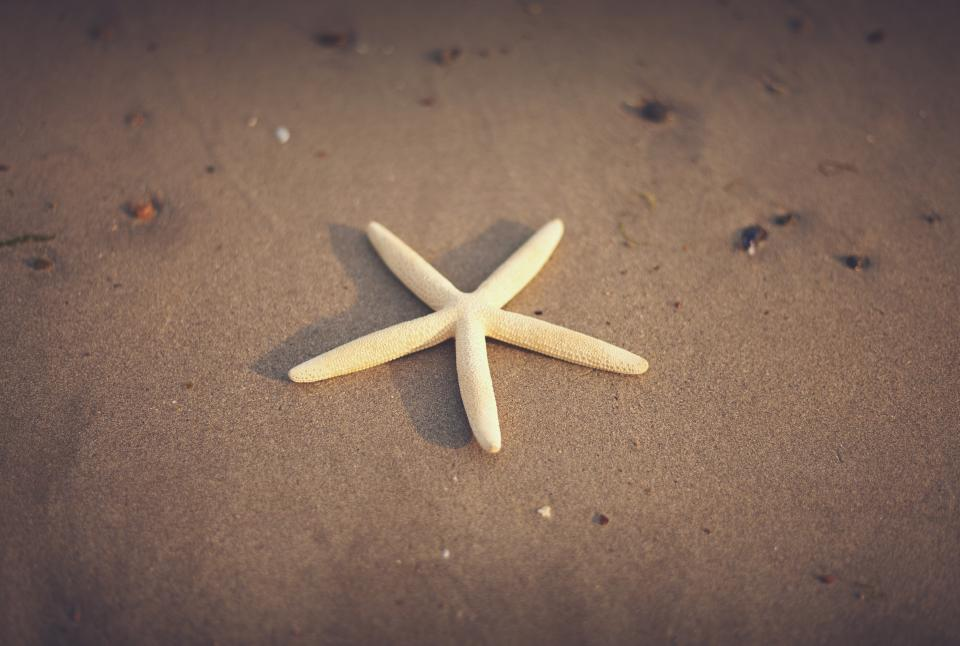 Stick With Light-Colored Woods