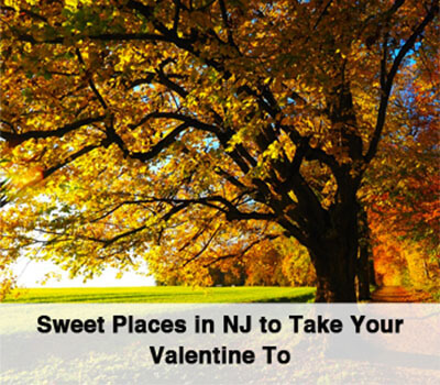 Places to take you Valentine