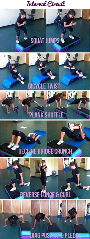  Sunny Health and Fitness