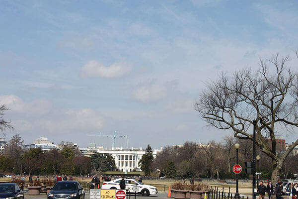 The White House