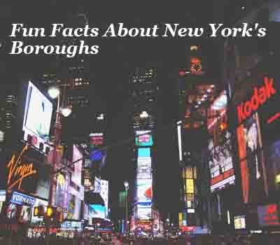 New York Amazing Facts