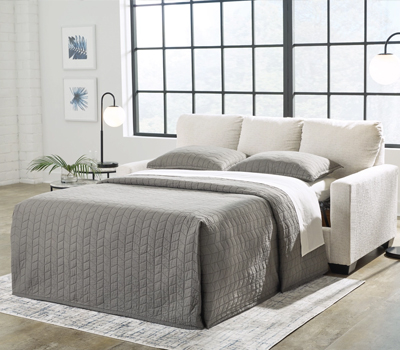 Sleeper Sofa