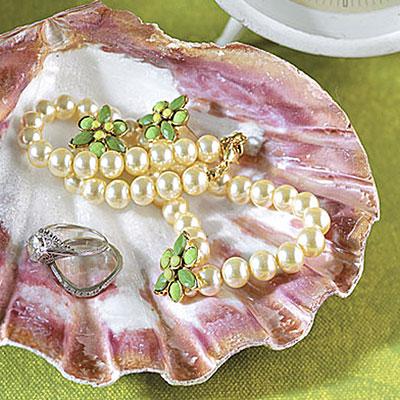 Shell Dish