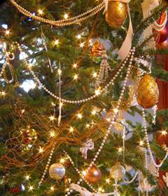 Festival of Trees